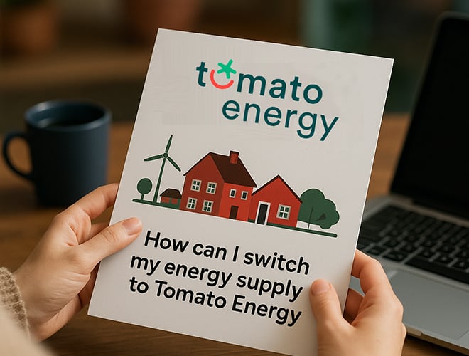 How Can I Switch My Energy Supply to Tomato Energy