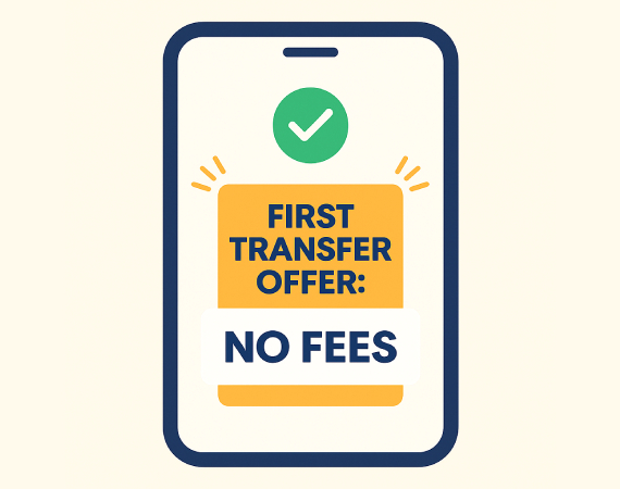 Are There Limits on Sending Money to the USA