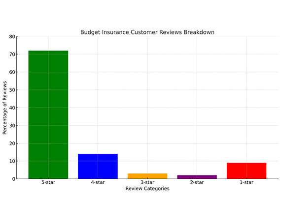 Budget Insurance Customer Review Breakdown