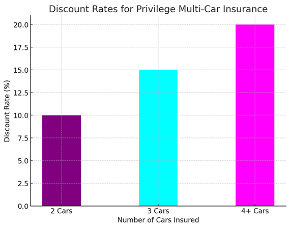 Discount Rates for Privilege Multi-Car Insurance