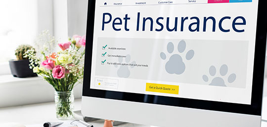 Multi-Pet Insurance Advantages