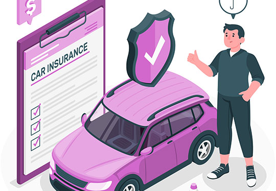 Overview of GoSkippys Car Insurance