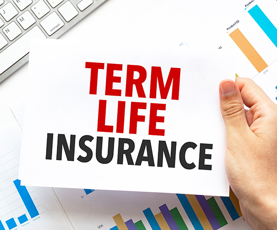 Royal Term Life Insurance