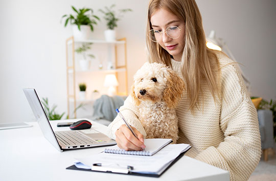 The Cost Factor in Dog Insurance