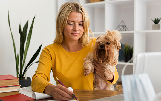 Understanding Different Types of Dog Insurance