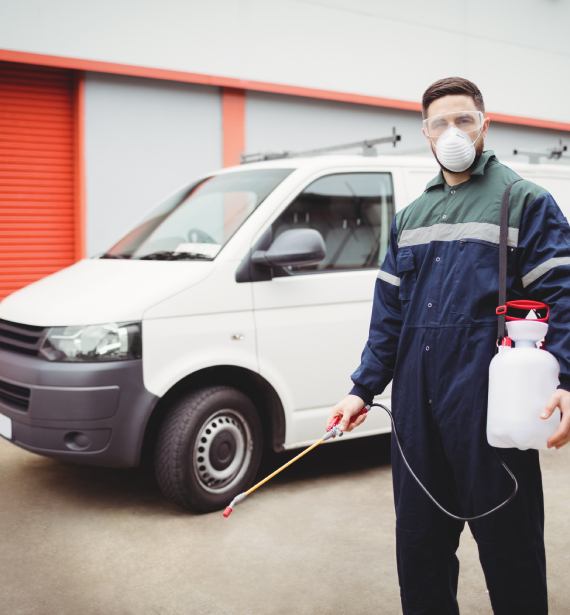 What information do insurers ask for when giving quotes