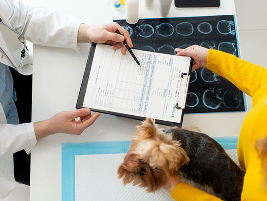 What are the different types of pet insurance policies