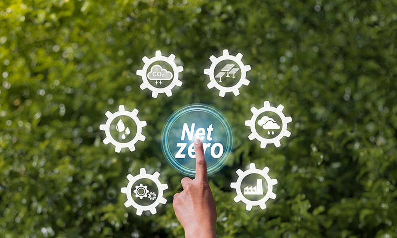 How Will Net Zero Targets Impact Households