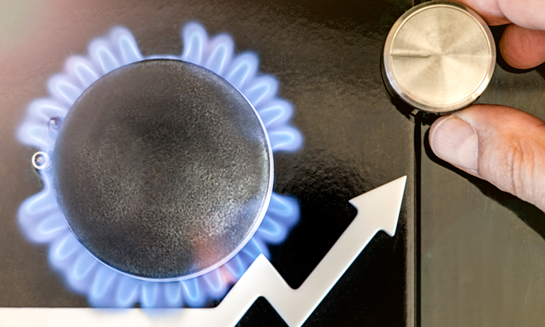 Seasonal Gas Price Fluctuations for Households