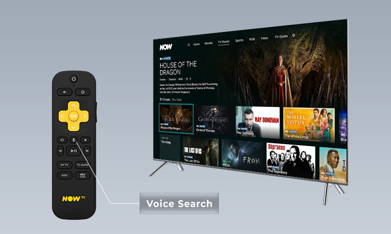 Voice Search on the NOW Smart Stick