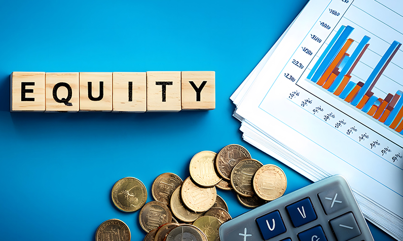 The Cost of Equity Release