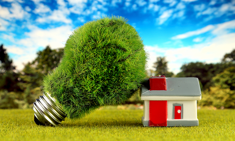 100Green Domestic Energy: Sustainable Power for Your Home