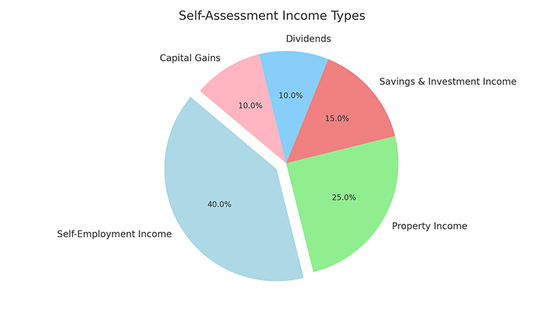 Self Assessment Income Types