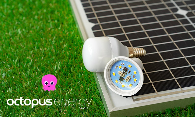 Octopus Energy Solar Panels: Sustainable Energy Solutions