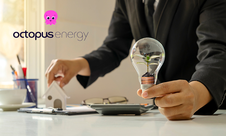 Sustainable Solutions: Octopus Energy Business Energy