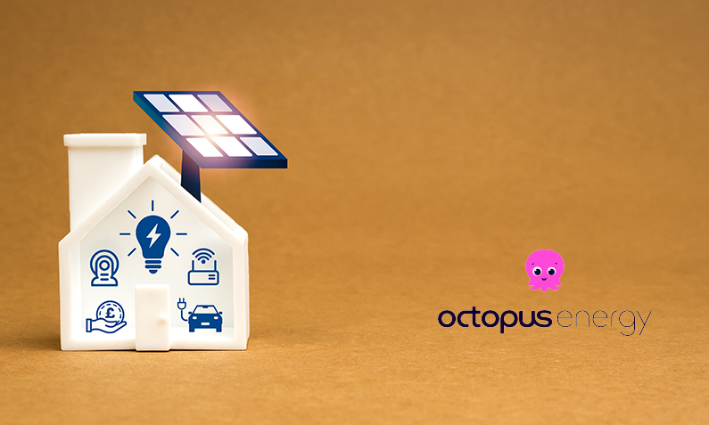 Understanding Octopus Energy SEG Tariff Benefits