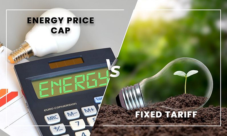 Energy Price Cap vs Fixed Tariff: Which Saves More in 2025?