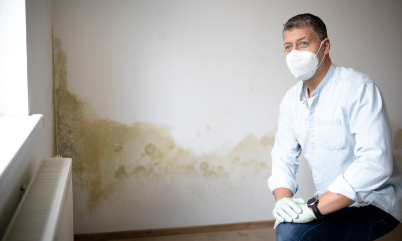 The cost of mould in social
      housing and private homes