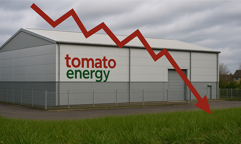 Tomato Energy collapse: Next steps for customers